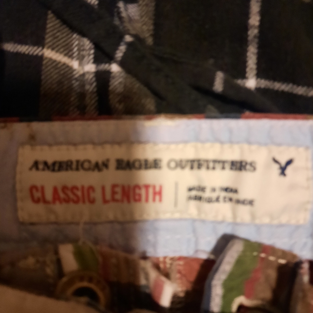 American eagle - Picture 2 of 2